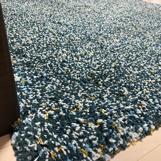 【定価の1/4価格】カーペット　ラグ　毛足長め　ヴィンドゥム ラグ パイル長 170x230 ヴィンドゥムの画像