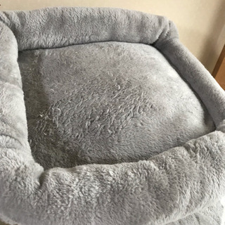 キャットタワー タダの画像
