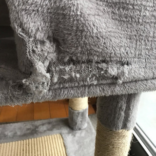 キャットタワー タダの画像