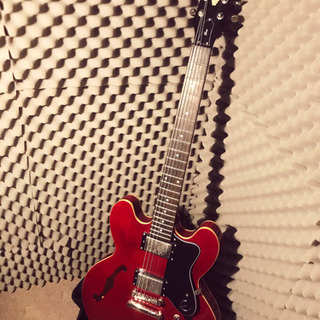 EPIPHONE(エピフォン) ES-335 Dot セミアコ ...