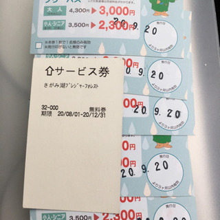 相模湖プレジャーフォレスト割引券＋駐車券