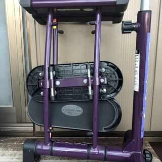 レッグマジックX　パプールの画像