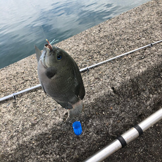 釣り初心者です！釣りに詳しい方一緒に釣りしましょう。