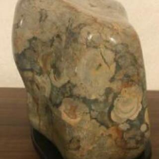 菊花石 錦石 水石 鑑賞石 パワーストーン 12キロ 石の置物