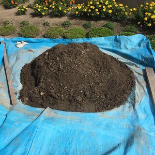 庭土　引き取ってくれる方に差し上げます。