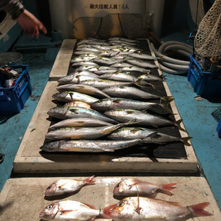 和歌山　船釣
