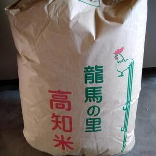 令和元年度収穫、コシヒカリ、1袋30kg