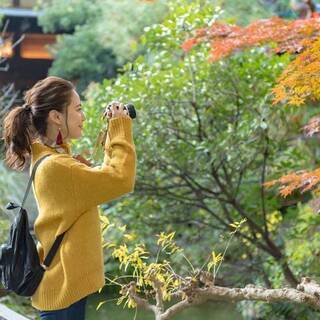 写真・動画撮影補助及びモデル募集（男・女）