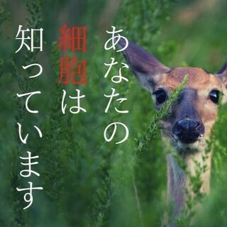 ついに誕生！！美容業界が恐れた"資格"