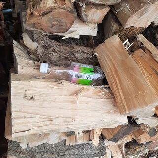 銀杏　薪ストーブ　薪　100キロ単位　配達無料エリアありの画像