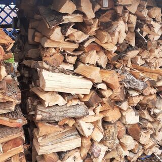 銀杏　薪ストーブ　薪　100キロ単位　配達無料エリアありの画像