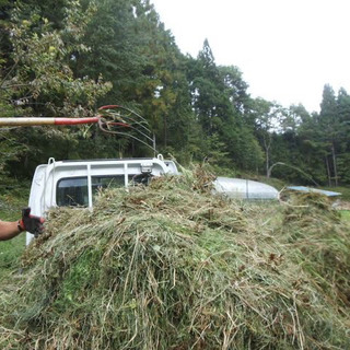 草刈りの草集め雑工