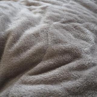 ニトリ Nウォーム 毛布＆敷きパッド 冬用