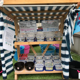 ゴールデンメダカ無人販売所 