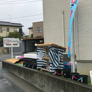 ゴールデンメダカ無人販売所 の画像