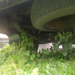 ISUZUコモの画像