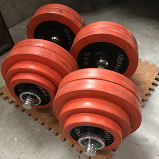 アイロテック製ダンベル　30kg×2 アイロテック ダンベル30kg × 2