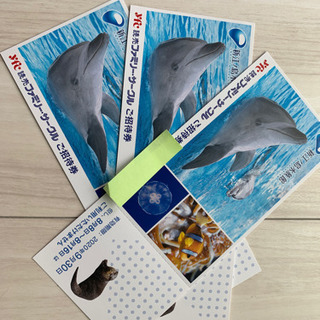 【取引中】新江ノ島水族館　招待券　3枚
