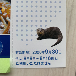 【取引中】新江ノ島水族館　招待券　3枚の画像