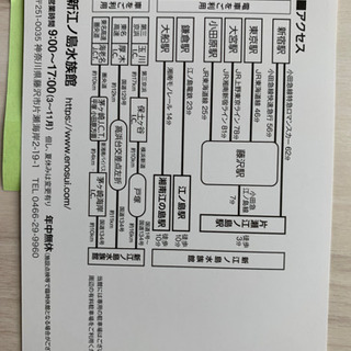 【取引中】新江ノ島水族館　招待券　3枚の画像