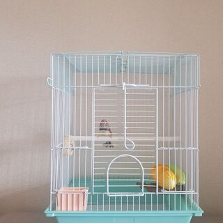 鳥かご、ケージ