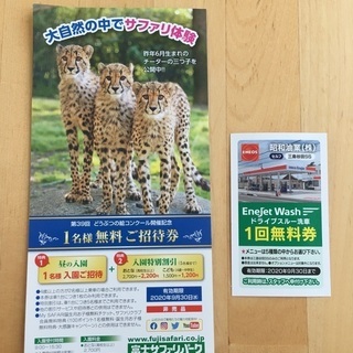 富士サファリパーク　招待券　洗車無料券
