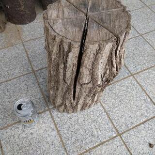 広葉樹コナラのスウェーデントーチ！茨城県潮来市。の画像