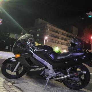zzr250 2004年モデル