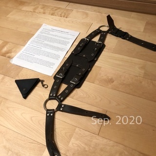 弦楽器　ハーディガーディ（専用ベルト、ケース、説明書付き）の画像