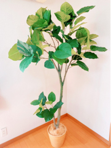 美品 フェイクグリーン 人工観葉植物