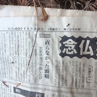 心霊スポットを巡るメンバーを募集します - メンバー募集