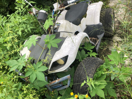 junkバギ