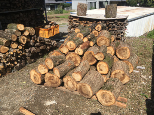 コナラ未乾燥玉切り　軽トラック山盛り一杯