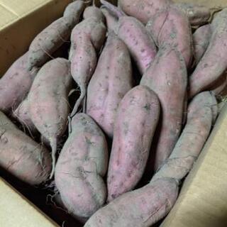 さつまいも(安納芋)　5kg