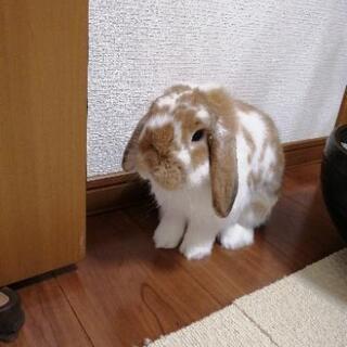 お悩みのある方