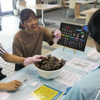 時給1000円！交通費補助あり！津久見イルカ島でイベントスタッフ募集！
