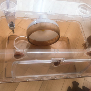 ハムスターゲージの画像