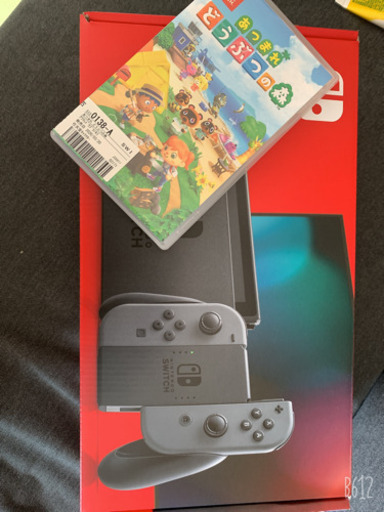 Switchグレータイプ・保護フィルム・あつもりセット