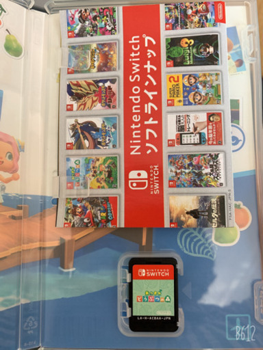 Switchグレータイプ・保護フィルム・あつもりセット