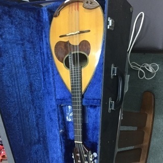 【練習用に‼️】マンダリン