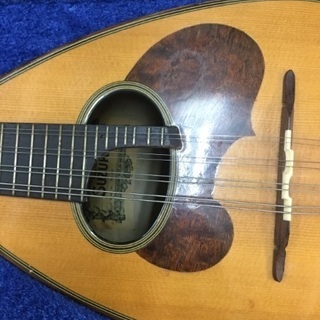 【練習用に‼️】マンダリンの画像