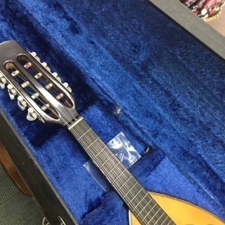 【練習用に‼️】マンダリンの画像