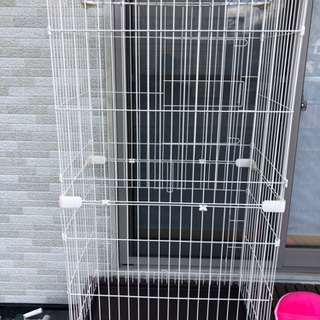 猫のゲージ