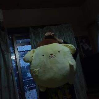 サンリオ　プリン