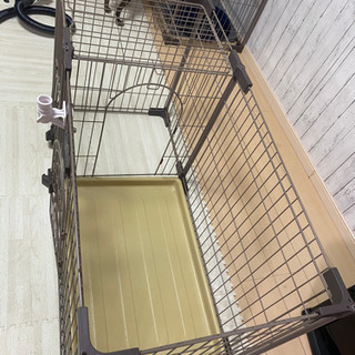 犬ゲージの画像