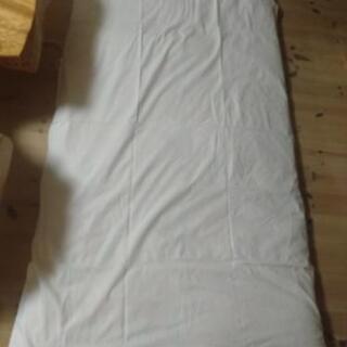 【取引成立】シングルサイズ　敷マットの画像