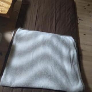 【取引成立】シングルサイズ　敷マットの画像