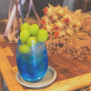 大阪⇄地方🌈✨友達作り社会人おしゃべり🦚✨