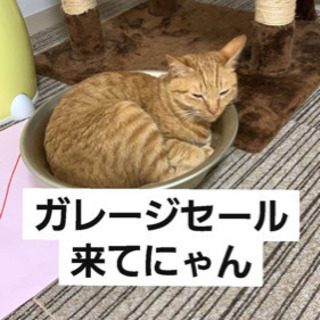 ガレージセール開催🎵（イメージキャラクター/ちゃとらん）