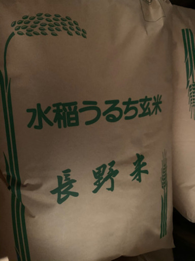 長野県産令和元年コシヒカリ